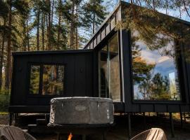 Connect Cabin - Bungalow Brasov, jacuzzi & forest view, Hotel in Purcăreni
