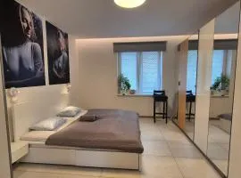 Soukromý pokoj pro 2 se sdílenou koupelnou a kuchyni Bezručova