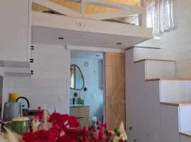 Jemiołucha Glamp