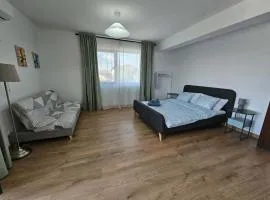 Uniria Studio Balotești Near Therme and Otopeni Airport Free Private Parking