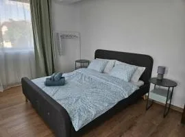 Uniria Studio Balotești Near Therme and Otopeni Airport