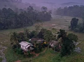 Forest & Fields Sinharaja