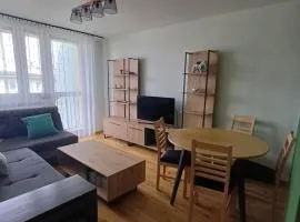 Mieszkanie w centrum Żywca