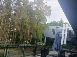 STUDIO LEŚNE z DUŻYM TARASEM nad Zalewem