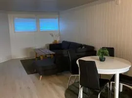 Modern basement apartment, 65 square meters