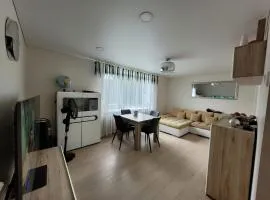 cozy 2 rooms appartement for rent