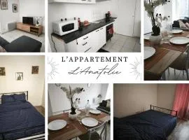 L'appartement L'Anatolie