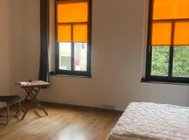 Room in a stylish villa in Solingen-Ohligs