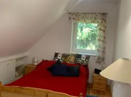 Artystycznie nad Bugiem 2
