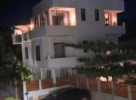 Blue House