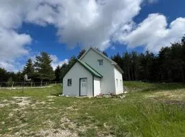 Everpine house
