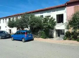 Budget Apartment in Libofshë