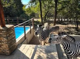 The ChaBo Lodge