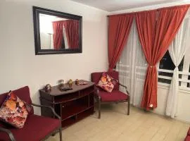 Arriendo diario lindo depto, cómodo y central