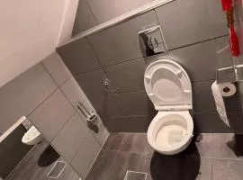 柠檬树