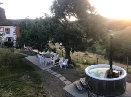 Maison pittoresque à Sainte-Croix-aux-Mines, vue sur la montagne