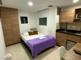 Nevada Loft 9 hermosa y central habitacion