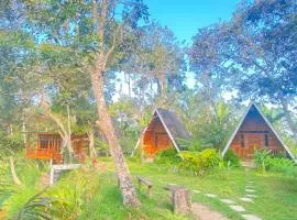Forest Side Bungalow