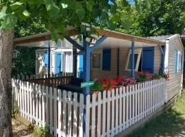 Mobil Home La mésange Bleue