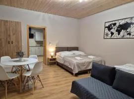 Apartment Pod Modrzewiem