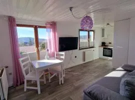 Ferienwohnung Aussicht
