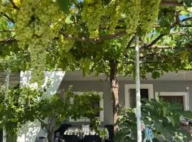 the grape house1
