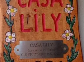 Casa Lily