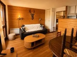 Cozy studio balcon et parking