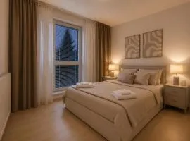 Luxury apartment