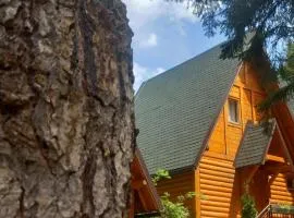 ZlatAir Eco Chalet