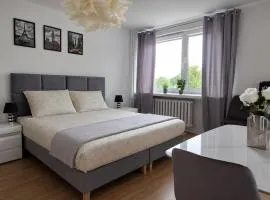 Silver Studio