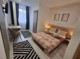 Studio Elvetia