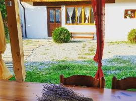 Chalet Giuel โรงแรมในBărcuţ