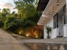 Birdwing Cottage, Munnar