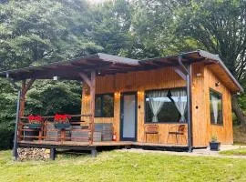 Wood Nest Curtea de Argeș - Cabană de vacanță în natură