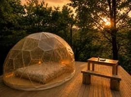 Dome sous les étoiles, Rivière & Animaux & Douche