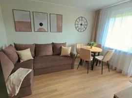 Apartament Na Ulicy Gdanskiej w Rusocinie