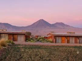 Eltoconar atacama