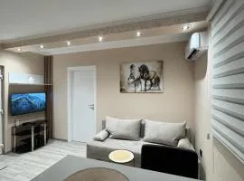 Georgeous lux apartment #1