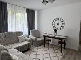 Apartament Central Pietonalul Unirii