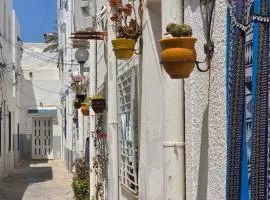 Antique seaside appartement
