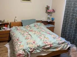Rooms available at a luxurious house near Masonville Mall Complex