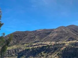 Cabañas Wiñaypacha Putre