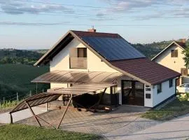 Liveza House