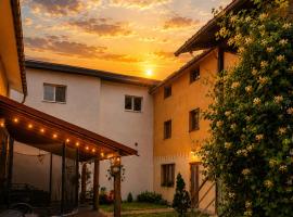 Guest House Mandrivnyi Rooms&Apartments, hotel i Yasinia