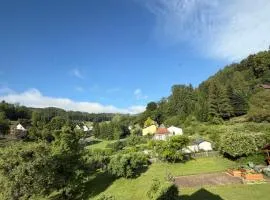 Talblick Apartment Leoben mit Gratis Parkplatz