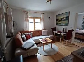 Apartment in Salzkammergut near Hallstatt