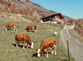 Whole traditional swiss Chalet - Alps & Lake Retreat, hotel a Niederried