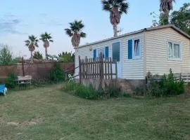 Little house paradise