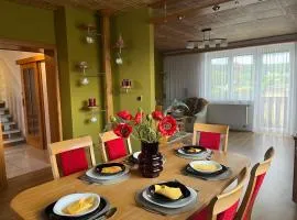 Holiday Villa Holašovice